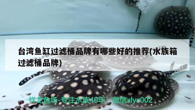 臺灣魚缸過濾桶品牌有哪些好的推薦(水族箱過濾桶品牌) 魚缸/水族箱