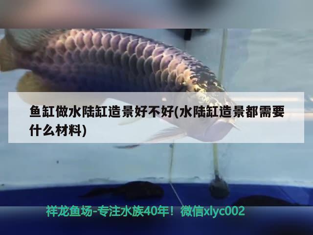 魚缸做水陸缸造景好不好(水陸缸造景都需要什么材料) 龍魚批發(fā)