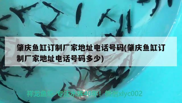 肇慶魚缸訂制廠家地址電話號(hào)碼(肇慶魚缸訂制廠家地址電話號(hào)碼多少)