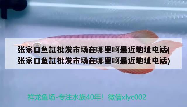 張家口魚缸批發(fā)市場在哪里啊最近地址電話(張家口魚缸批發(fā)市場在哪里啊最近地址電話)