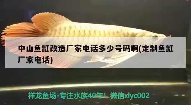 中山魚缸改造廠家電話多少號碼啊(定制魚缸廠家電話)