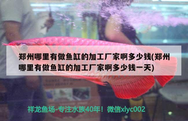 鄭州哪里有做魚缸的加工廠家啊多少錢(鄭州哪里有做魚缸的加工廠家啊多少錢一天) 和尚魚 第2張