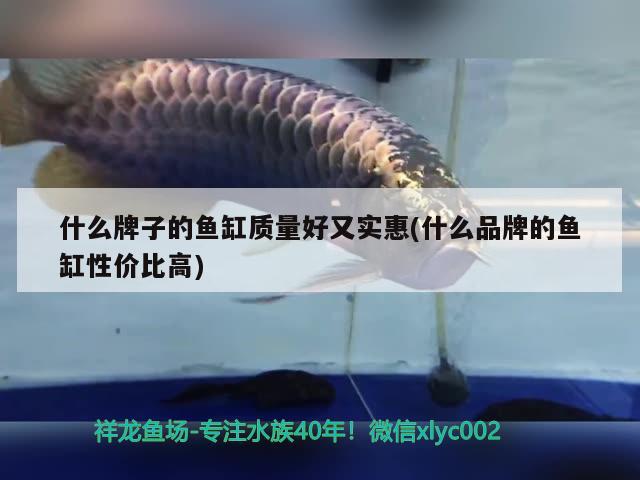 什么牌子的魚缸質(zhì)量好又實(shí)惠(什么品牌的魚缸性價(jià)比高)