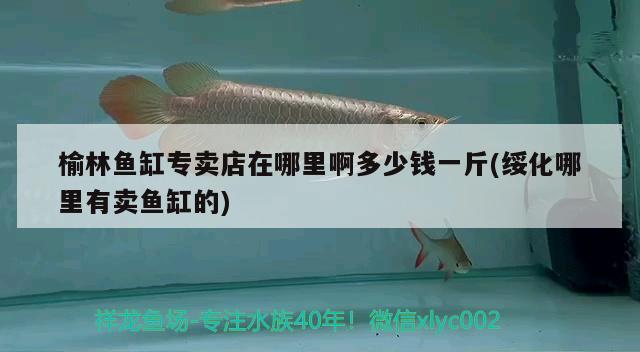 榆林魚缸專賣店在哪里啊多少錢一斤(綏化哪里有賣魚缸的)