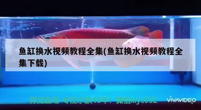 魚缸換水視頻教程全集(魚缸換水視頻教程全集下載) 祥龍超血紅龍魚