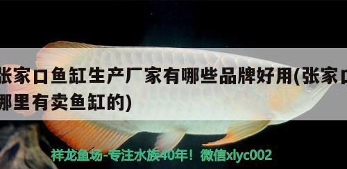 張家口魚缸生產(chǎn)廠家有哪些品牌好用(張家口哪里有賣魚缸的) 祥龍水族護(hù)理水