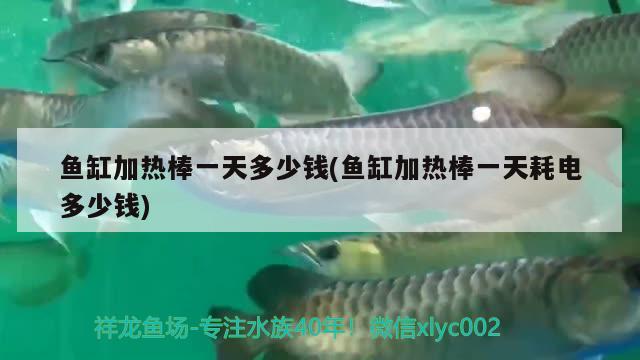 魚缸加熱棒一天多少錢(魚缸加熱棒一天耗電多少錢) 元寶鳳凰魚百科