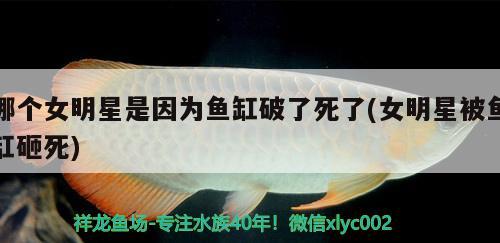 哪個女明星是因為魚缸破了死了(女明星被魚缸砸死)