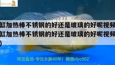 魚缸加熱棒不銹鋼的好還是玻璃的好呢視頻(魚缸加熱棒不銹鋼的好還是玻璃的好呢視頻講解) PH調(diào)節(jié)劑