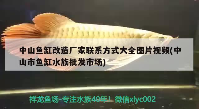 中山魚缸改造廠家聯(lián)系方式大全圖片視頻(中山市魚缸水族批發(fā)市場(chǎng)) 觀賞魚水族批發(fā)市場(chǎng)