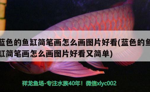 藍(lán)色的魚缸簡筆畫怎么畫圖片好看(藍(lán)色的魚缸簡筆畫怎么畫圖片好看又簡單) 虎魚魚苗