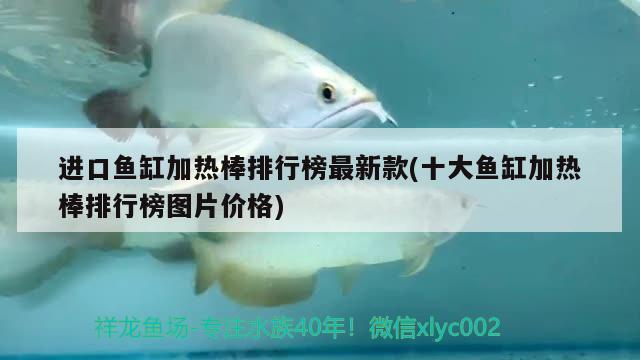 進(jìn)口魚(yú)缸加熱棒排行榜最新款(十大魚(yú)缸加熱棒排行榜圖片價(jià)格)