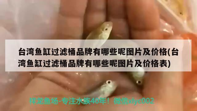 臺灣魚缸過濾桶品牌有哪些呢圖片及價格(臺灣魚缸過濾桶品牌有哪些呢圖片及價格表) 三間鼠魚苗