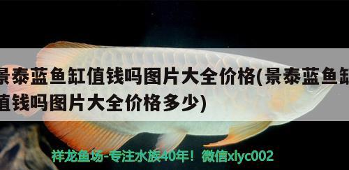 景泰藍(lán)魚缸值錢嗎圖片大全價(jià)格(景泰藍(lán)魚缸值錢嗎圖片大全價(jià)格多少) 白子銀版魚