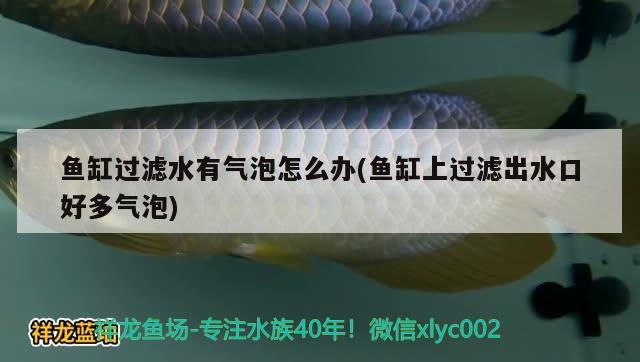 魚缸過濾水有氣泡怎么辦(魚缸上過濾出水口好多氣泡) 定時器/自控系統(tǒng)