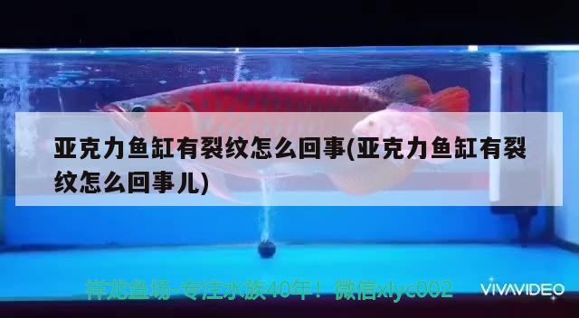 亞克力魚缸有裂紋怎么回事(亞克力魚缸有裂紋怎么回事兒) 南美異形觀賞魚