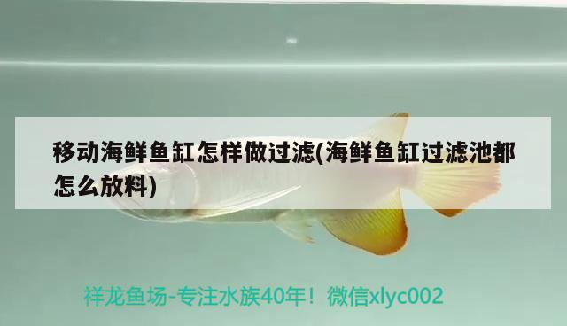 移動海鮮魚缸怎樣做過濾(海鮮魚缸過濾池都怎么放料) 白化火箭