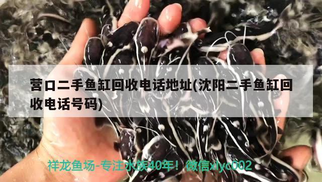 營口二手魚缸回收電話地址(沈陽二手魚缸回收電話號碼)