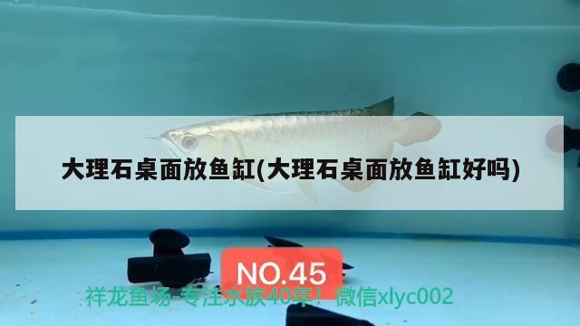 大理石桌面放魚缸(大理石桌面放魚缸好嗎) 藍(lán)帆三間魚