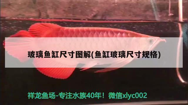 玻璃魚缸尺寸圖解(魚缸玻璃尺寸規(guī)格)