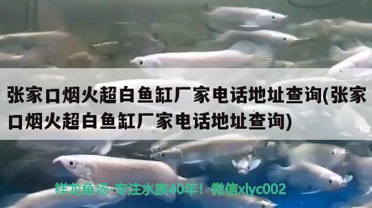 張家口煙火超白魚缸廠家電話地址查詢(張家口煙火超白魚缸廠家電話地址查詢)