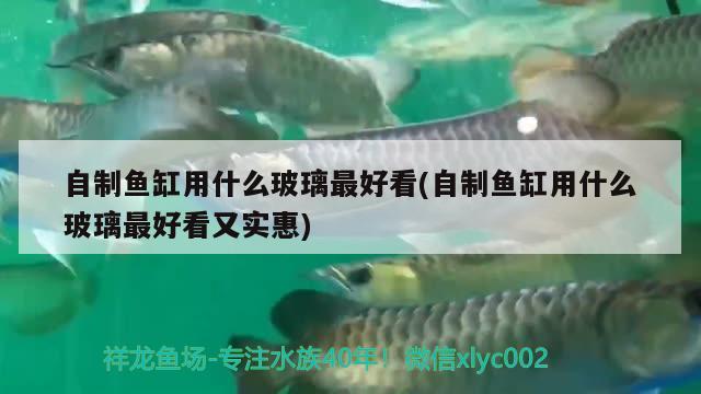 自制魚缸用什么玻璃最好看(自制魚缸用什么玻璃最好看又實(shí)惠)