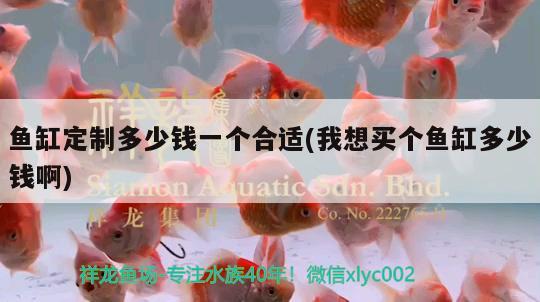 魚(yú)缸定制多少錢(qián)一個(gè)合適(我想買(mǎi)個(gè)魚(yú)缸多少錢(qián)啊)