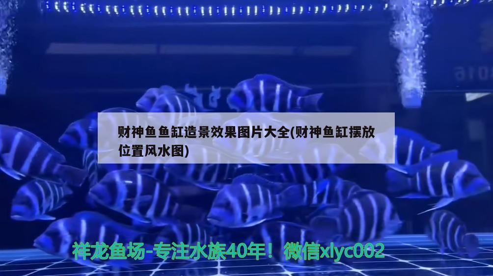 財神魚魚缸造景效果圖片大全(財神魚缸擺放位置風水圖) 魚缸風水