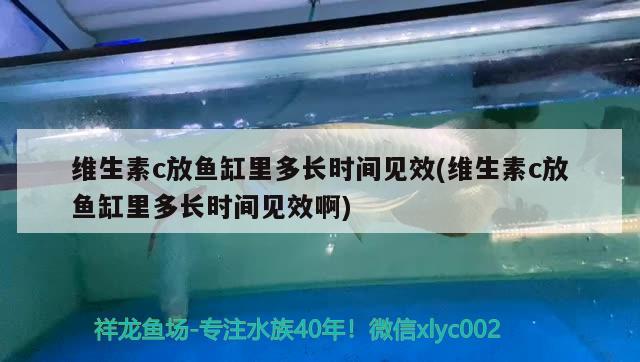 維生素c放魚缸里多長時間見效(維生素c放魚缸里多長時間見效啊) 魚缸百科