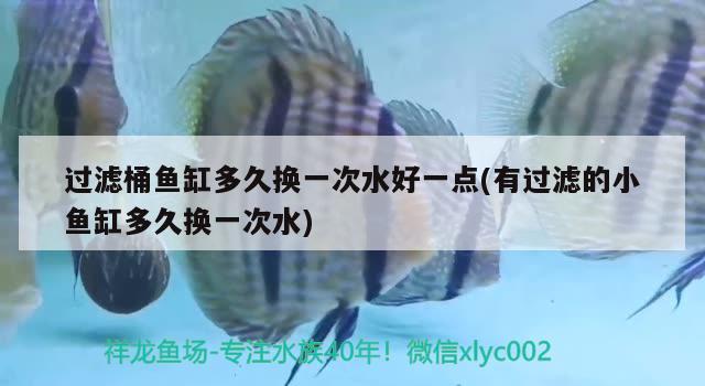 過濾桶魚缸多久換一次水好一點(diǎn)(有過濾的小魚缸多久換一次水) 巨骨舌魚