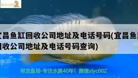 宜昌魚缸回收公司地址及電話號碼(宜昌魚缸回收公司地址及電話號碼查詢) 虎魚百科