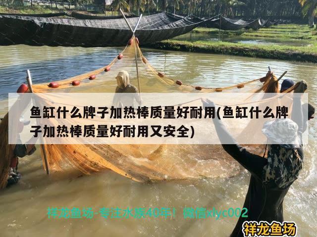 魚缸什么牌子加熱棒質(zhì)量好耐用(魚缸什么牌子加熱棒質(zhì)量好耐用又安全) 非洲象鼻魚