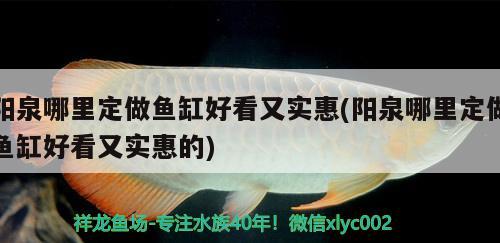 陽泉哪里定做魚缸好看又實惠(陽泉哪里定做魚缸好看又實惠的) 祥龍藍(lán)珀金龍魚