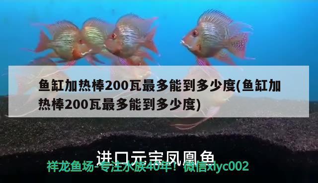 魚缸加熱棒200瓦最多能到多少度(魚缸加熱棒200瓦最多能到多少度) 祥龍魚場(chǎng)