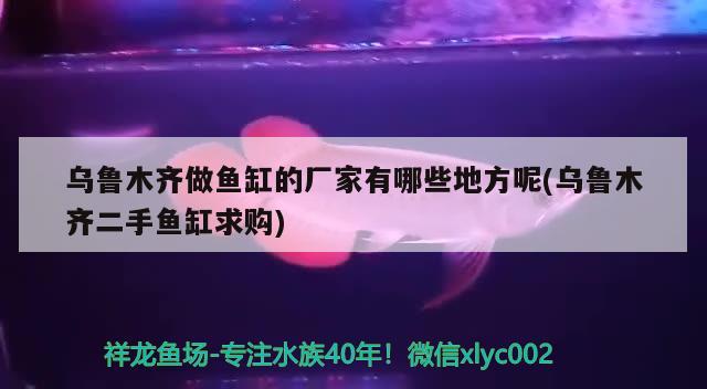 烏魯木齊做魚缸的廠家有哪些地方呢(烏魯木齊二手魚缸求購) 龍魚百科 第2張