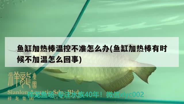 魚缸加熱棒溫控不準怎么辦(魚缸加熱棒有時候不加溫怎么回事) 泰國虎魚