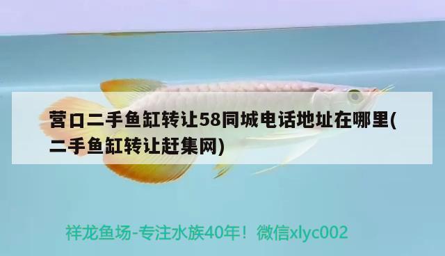 營口二手魚缸轉(zhuǎn)讓58同城電話地址在哪里(二手魚缸轉(zhuǎn)讓趕集網(wǎng))