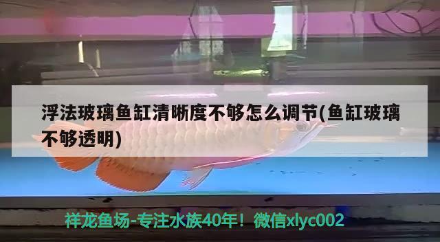 浮法玻璃魚缸清晰度不夠怎么調節(jié)(魚缸玻璃不夠透明) 白子關刀魚苗