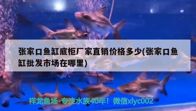 張家口魚缸底柜廠家直銷價格多少(張家口魚缸批發(fā)市場在哪里)