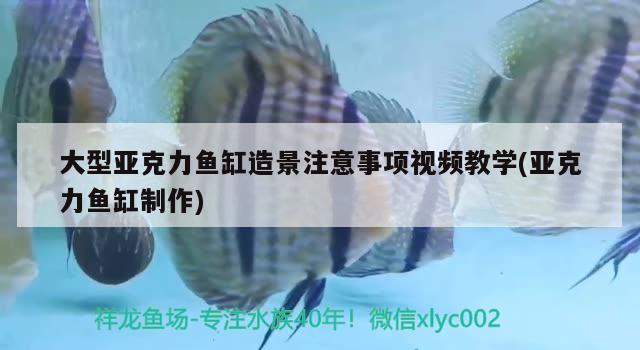 大型亞克力魚缸造景注意事項(xiàng)視頻教學(xué)(亞克力魚缸制作) 金龍魚糧