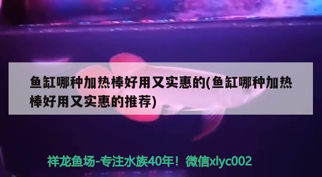 魚缸哪種加熱棒好用又實惠的(魚缸哪種加熱棒好用又實惠的推薦)