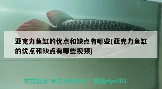 亞克力魚(yú)缸的優(yōu)點(diǎn)和缺點(diǎn)有哪些(亞克力魚(yú)缸的優(yōu)點(diǎn)和缺點(diǎn)有哪些視頻) 魚(yú)缸凈水劑