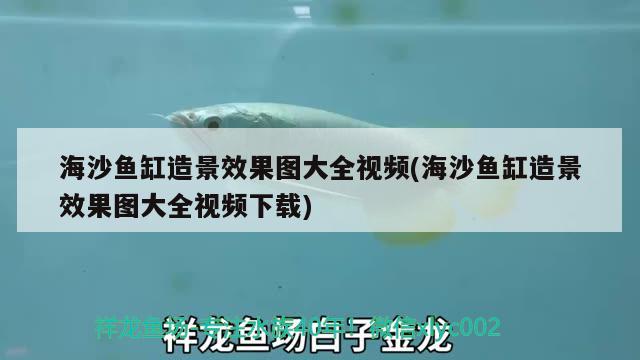 海沙魚缸造景效果圖大全視頻(海沙魚缸造景效果圖大全視頻下載) 廣州龍魚批發(fā)市場