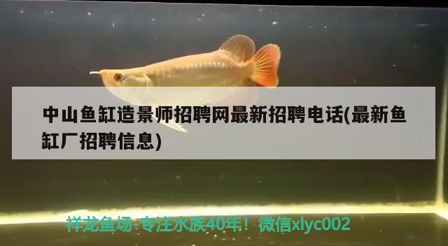 中山魚缸造景師招聘網(wǎng)最新招聘電話(最新魚缸廠招聘信息)