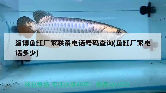 淄博魚缸廠家聯(lián)系電話號(hào)碼查詢(魚缸廠家電話多少)