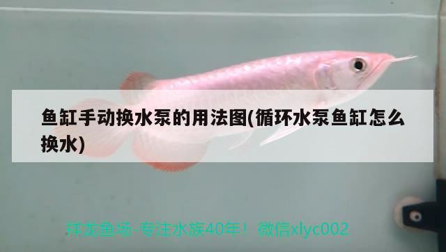 魚缸手動換水泵的用法圖(循環(huán)水泵魚缸怎么換水) 除藻劑