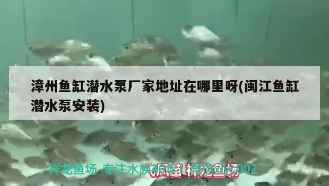 漳州魚缸潛水泵廠家地址在哪里呀(閩江魚缸潛水泵安裝)