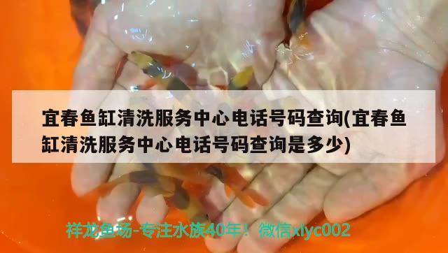 宜春魚缸清洗服務(wù)中心電話號碼查詢(宜春魚缸清洗服務(wù)中心電話號碼查詢是多少)