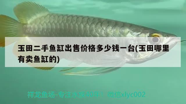 玉田二手魚缸出售價(jià)格多少錢一臺(tái)(玉田哪里有賣魚缸的)