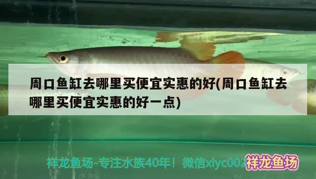 周口魚缸去哪里買便宜實(shí)惠的好(周口魚缸去哪里買便宜實(shí)惠的好一點(diǎn)) 錦鯉魚百科